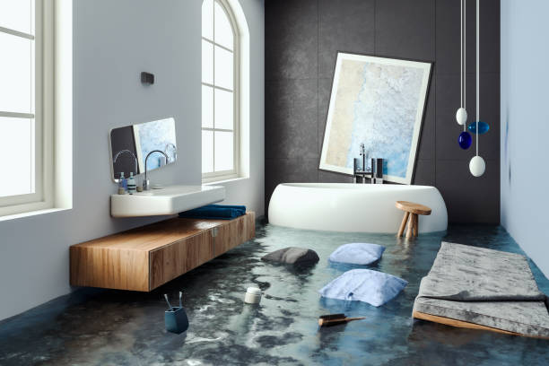 Best Mold removal after water damage  in Butler, GA