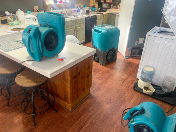 Best Water damage contractors near me  in Butler, GA