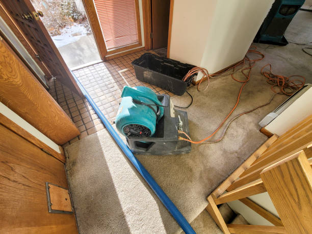 Best Emergency water damage restoration  in Butler, GA