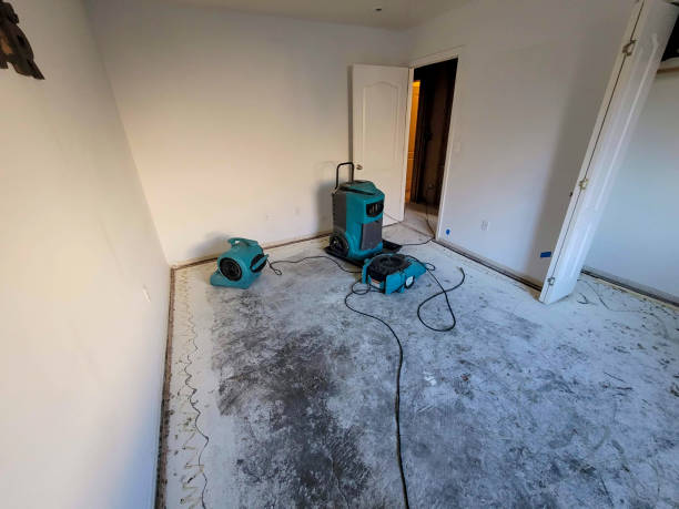 Best Professional water damage repair  in Butler, GA