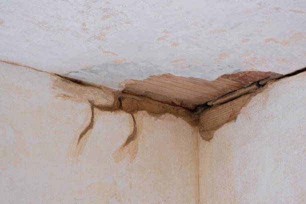 Best Residential water damage restoration  in Butler, GA