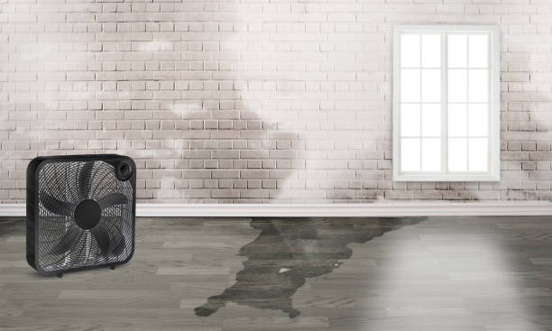 Best Flood restoration services  in Butler, GA