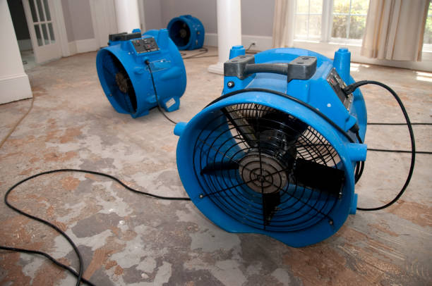  Butler, GA Water damage restoration Pros