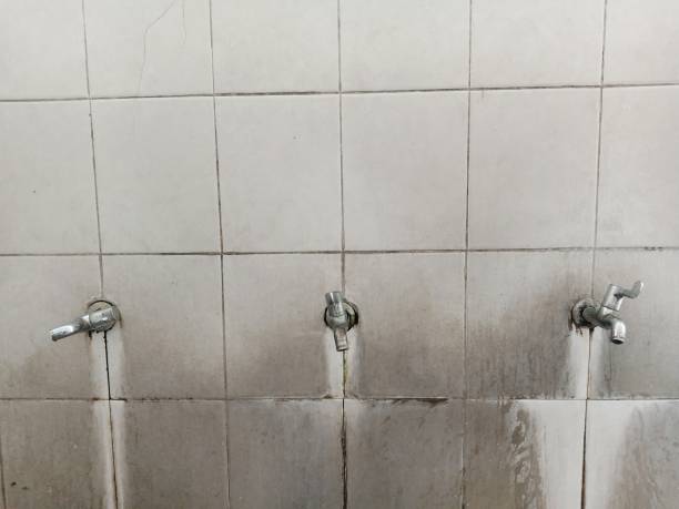 Best Flood damage cleanup  in Butler, GA
