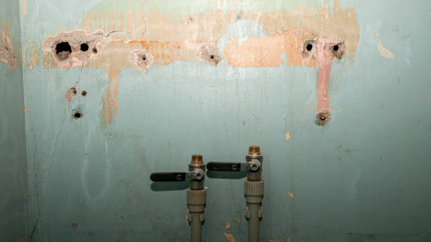 Best Commercial water damage restoration  in Butler, GA