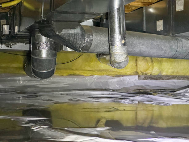 Best Local water damage restoration  in Butler, GA