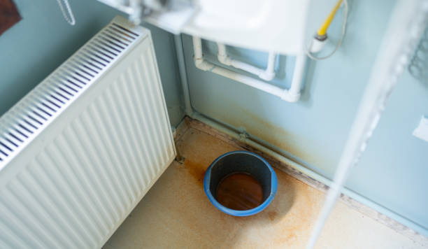 Best Carpet water damage restoration  in Butler, GA