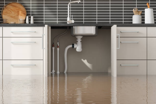 Best Local water damage restoration  in Butler, GA